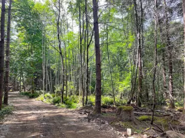 740 Eagles Rest Lane, Galiano Island, BC, Galiano island — Land for sale