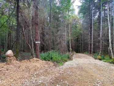 740 Eagles Rest Lane, Galiano Island, BC, Galiano island — Land for sale