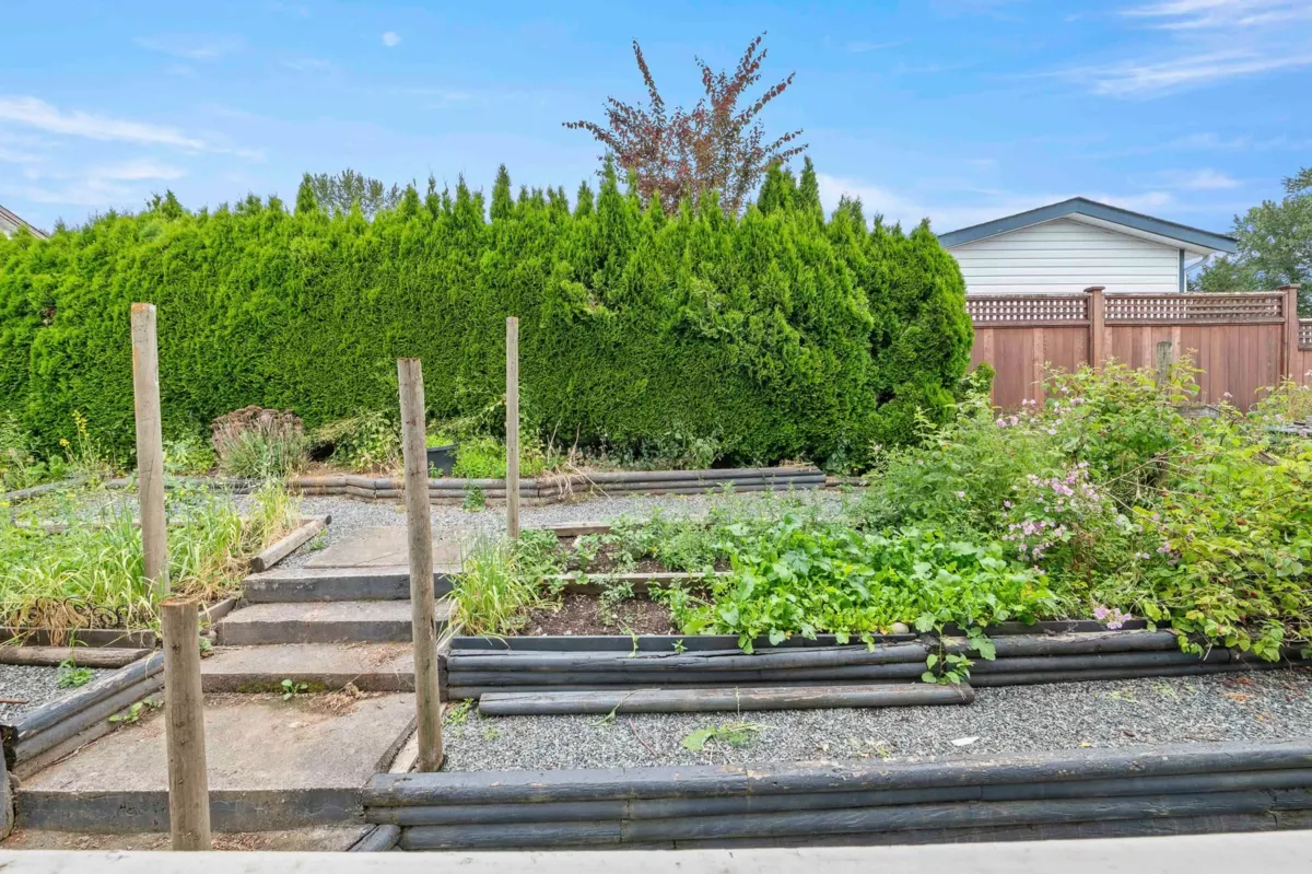 Outdoor Patio Photo of 13 27111 Avenue, Langley, BC