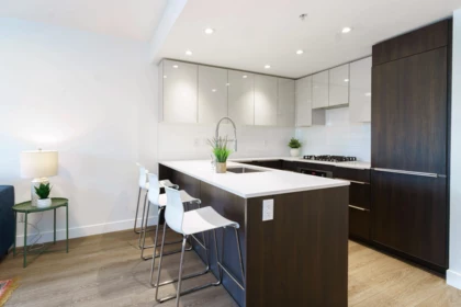 317 1588 E Hastings Street, Vancouver, BC, Vancouver — Apartment/Condo for sale