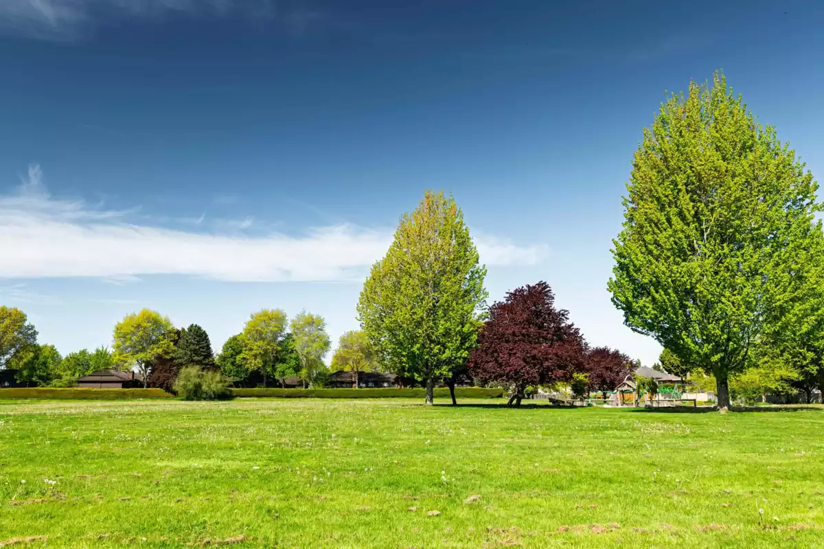 Community Amenities Photo (Clubhouse) of 8511 Sierpina Drive, Richmond, BC