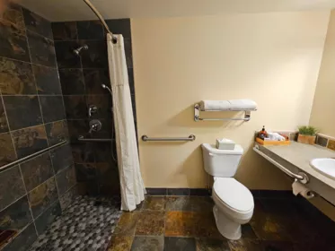 Primary Bathroom Photo of 105 1490 Highway 99, Pemberton, BC