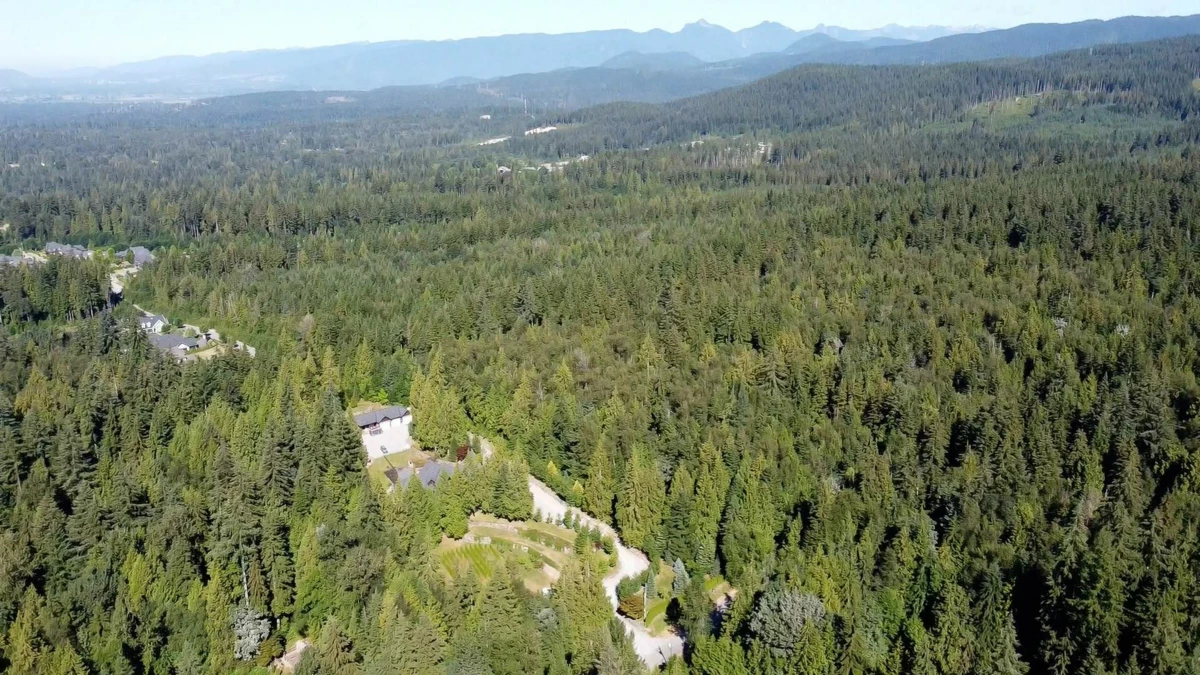 Kitchen Photo of 12305 270 Street, Maple Ridge, BC