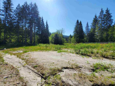 12767 Cardinal Street, Mission, BC, Mission —  bed land for sale