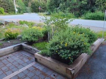 Swimming Pool Photo of 3205 Arbutus Drive, Whistler, BC