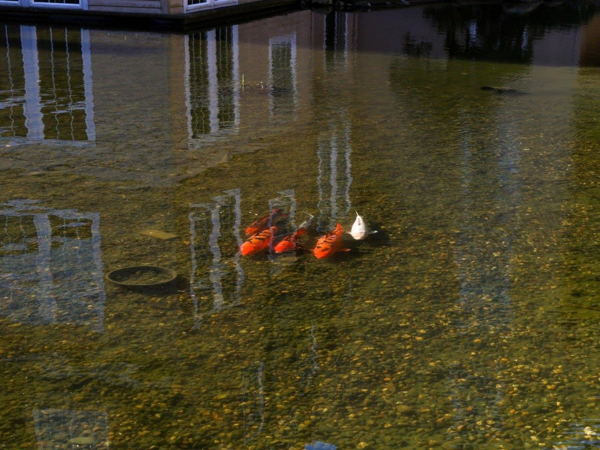 Entry Foyer Photo of 206 5556 14 Avenue, Delta, BC