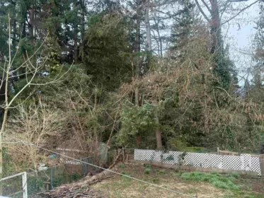 Swimming Pool Photo of 13833 114 Avenue, Surrey, BC