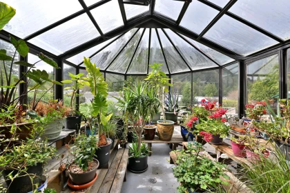 Loft / Bonus Room Photo of 133 14600 Morris Valley Road, Mission, BC