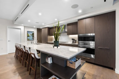 Entry Foyer Photo of 3404 1335 Howe Street, Vancouver, BC