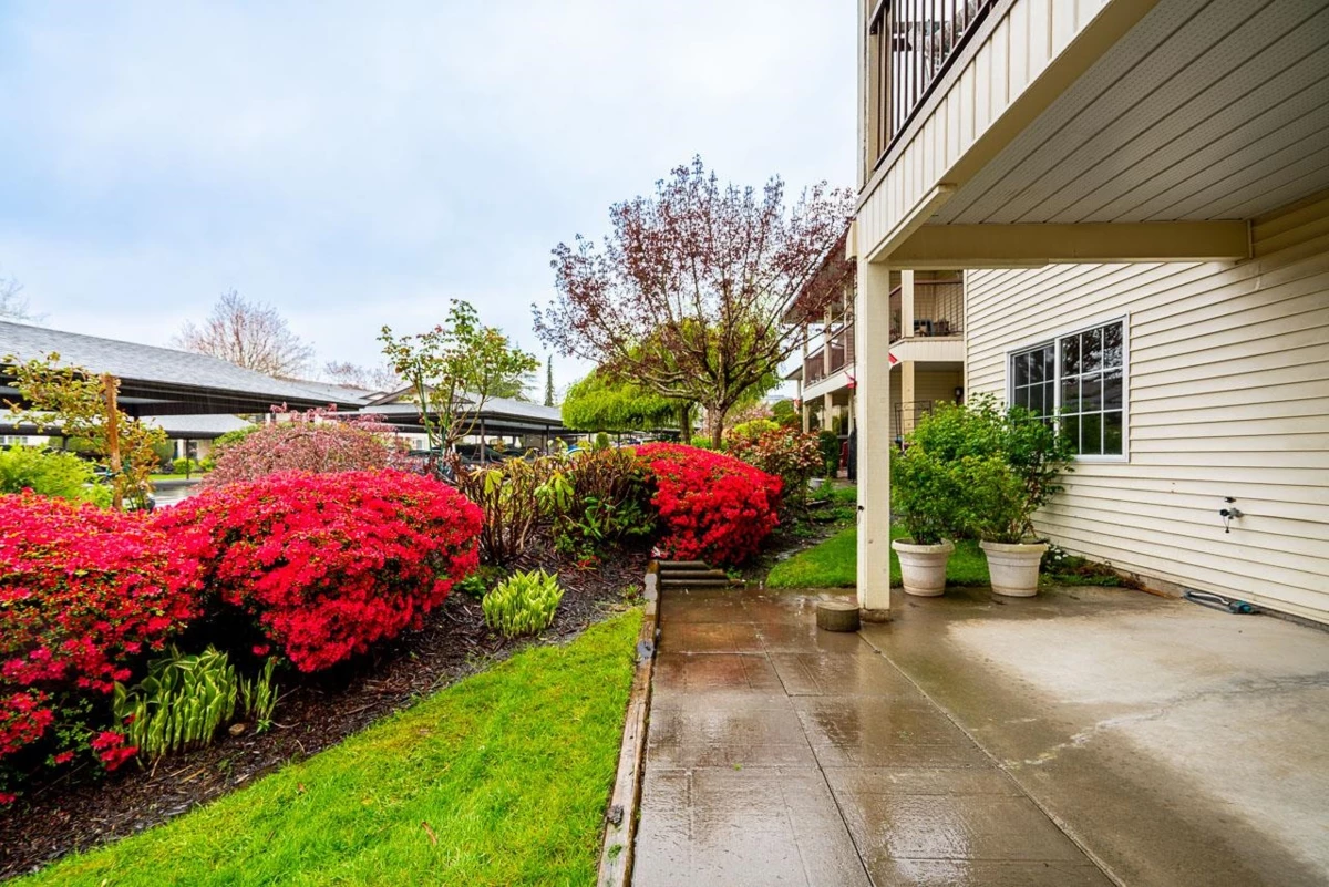 Family Room Photo of 2 6467 197th Street, Langley, BC