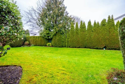 Swimming Pool Photo of 2 6467 197th Street, Langley, BC