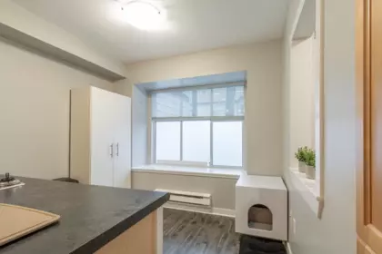 Kitchen Island Photo of 84 12099 237 Street, Maple Ridge, BC