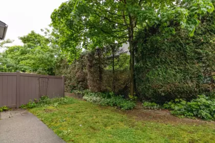 Laundry Room Photo of 84 12099 237 Street, Maple Ridge, BC
