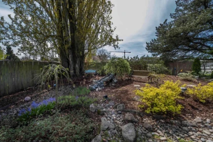 Swimming Pool Photo of 17884 57 Avenue, Surrey, BC