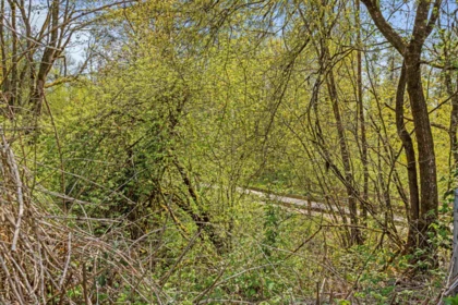 Street View Photo of 23746 110 Avenue, Maple Ridge, BC