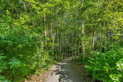 Playground / Recreational Area Near 65 15588 32 Avenue, Surrey, BC