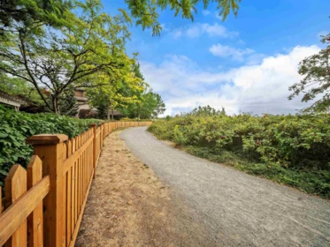 Outdoor Deck Photo of 308 250 Salter Street, New Westminster, BC