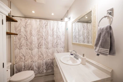 Powder Room Photo of 9352 Spilsbury Street, Maple Ridge, BC