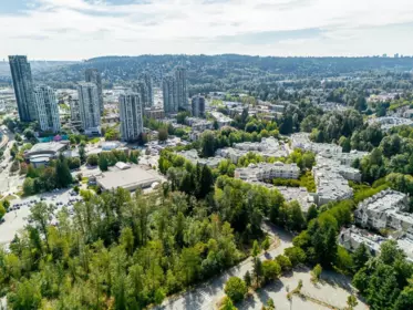 Outdoor Deck Photo of 206 2990 Princess Crescent, Coquitlam, BC