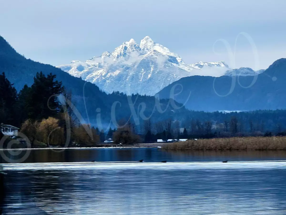 Kitchen Photo of 302 8400 Shook Road, Mission, BC