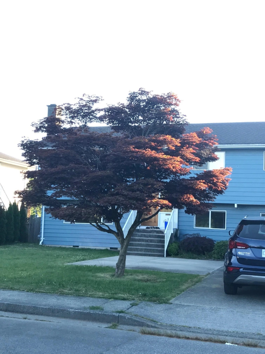 Powder Room Photo of 10271 Rosedene Crescent, Richmond, BC