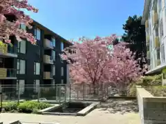 609 7428 Alberta Street, Vancouver, BC