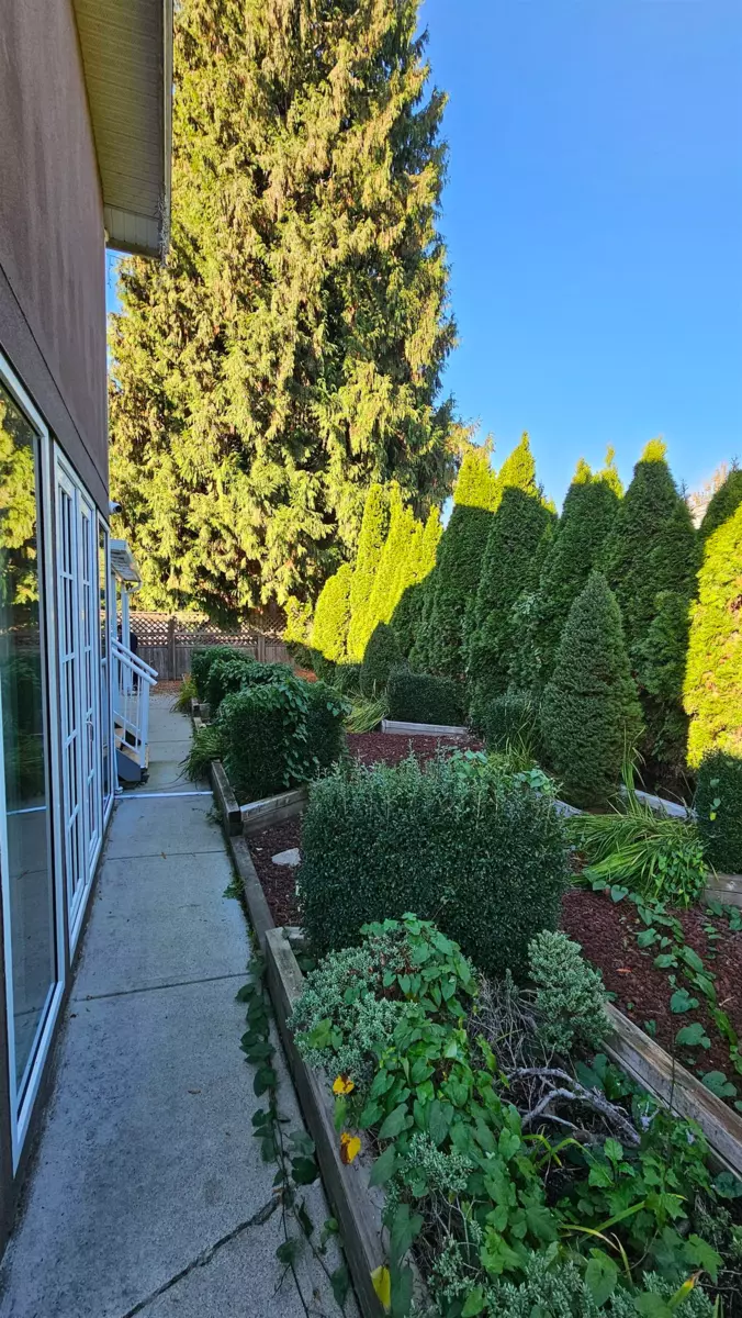 Outdoor Kitchen Photo of 10251 Caithcart Road, Richmond, BC