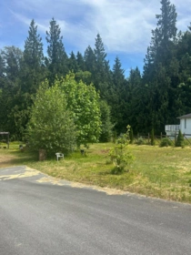 Swimming Pool Photo of 9860 160 Street, Surrey, BC