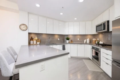 229 255 W 1st Street, North Vancouver, BC, North Vancouver — Apartment/Condo for sale
