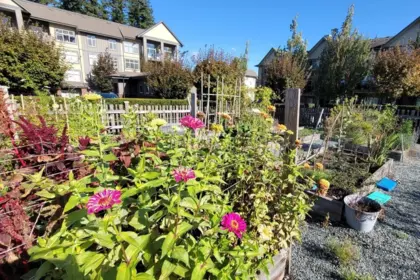 Swimming Pool Photo of 507 2855 156 Street, Surrey, BC