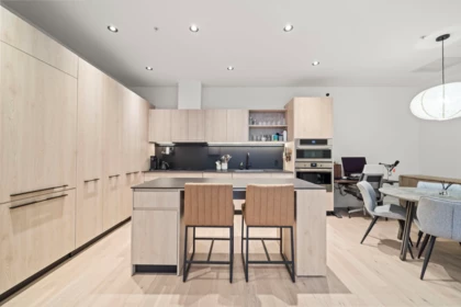 Kitchen Photo of 3958 Dumfries Street, Vancouver, BC