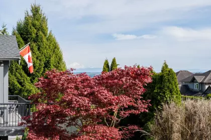 Garden / Landscaping Photo of 19654 69a Avenue, Langley, BC