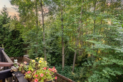 Backyard Photo of 101 2979 156 Street, Surrey, BC