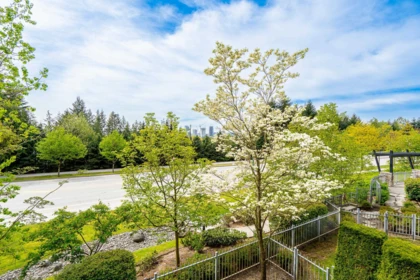 Office / Den Photo of 6 3138 Dayanee Springs Boulevard, Coquitlam, BC