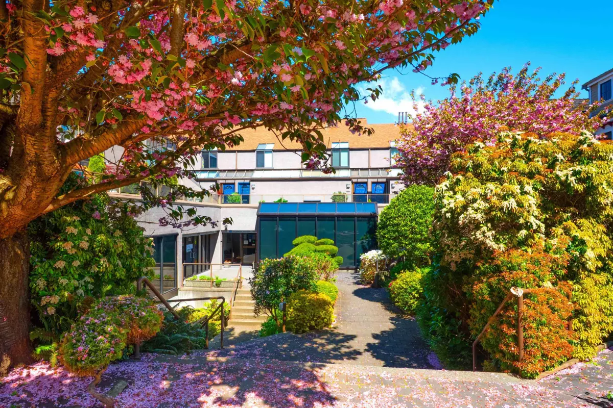 Exterior Rear Photo of 1167 W 8th Avenue, Vancouver, BC