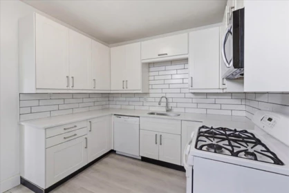 14 W 14th Avenue, Vancouver, BC, Vancouver — Single Family Residence for sale