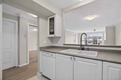 Kitchen Island Photo of 308 2340 Hawthorne Avenue, Port Coquitlam, BC