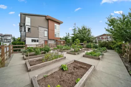 Outdoor Deck Photo of 50 8430 203a Street, Langley, BC
