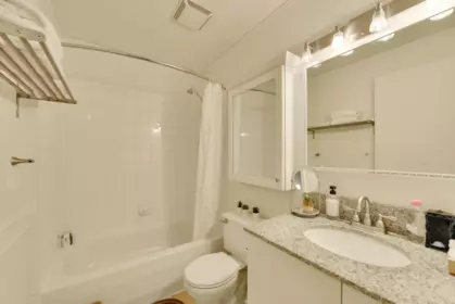 Primary Bedroom Photo of 305 350 E 2nd Avenue, Vancouver, BC