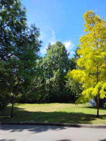 Office / Den Photo of 8354 Vinewood Place, Burnaby, BC