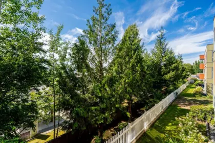 Outdoor Patio Photo of 208 12075 228 Street, Maple Ridge, BC