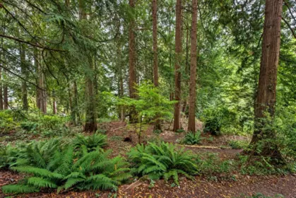 Street View Photo of 1305 Gower Point Road, Gibsons, BC