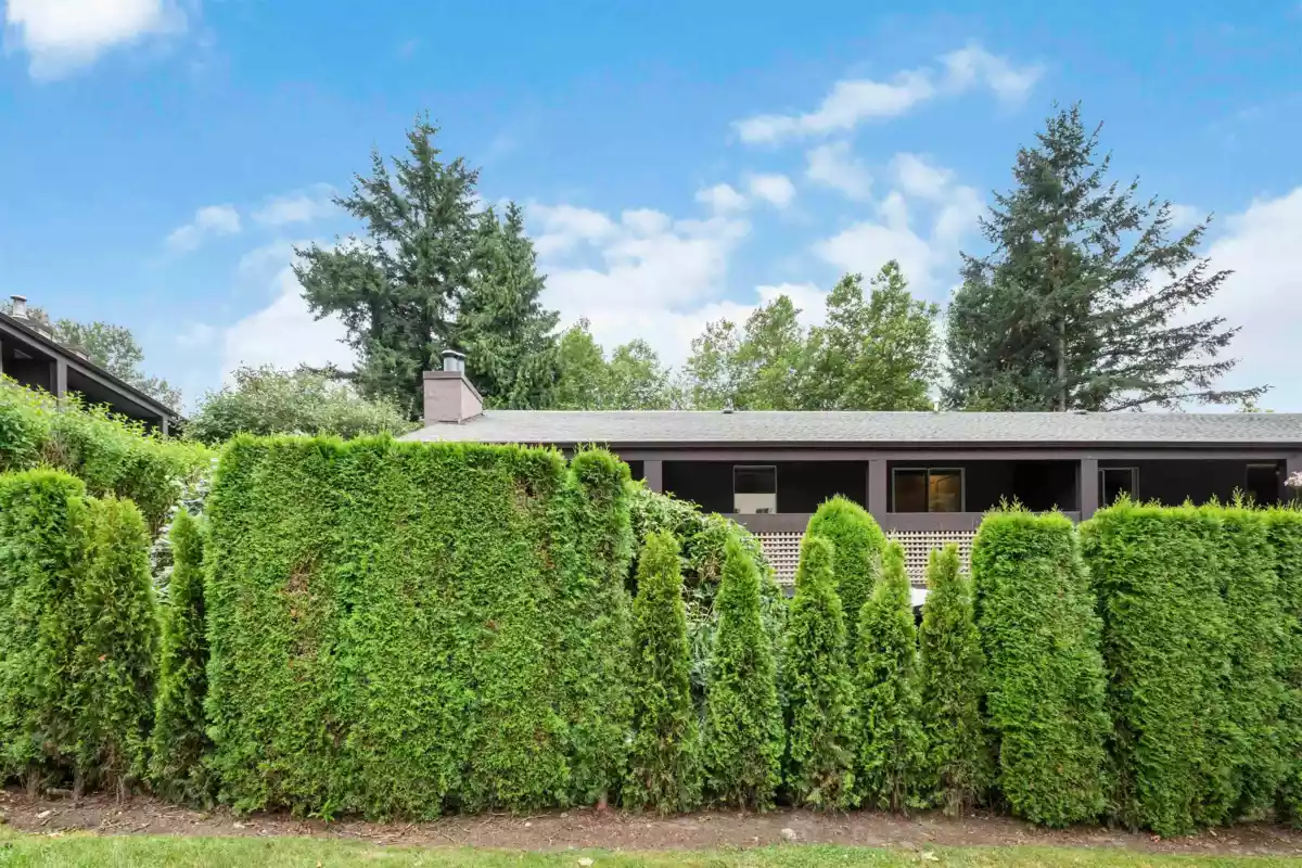 Kitchen Photo of 1121 34909 Old Yale Road, Abbotsford, BC