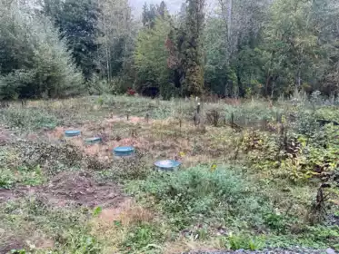 Backyard Photo of 25511 Dewdney Trunk Road, Maple Ridge, BC