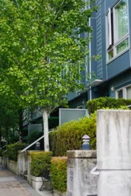 Exterior Rear Photo of 4886 Eldorado Mews, Vancouver, BC
