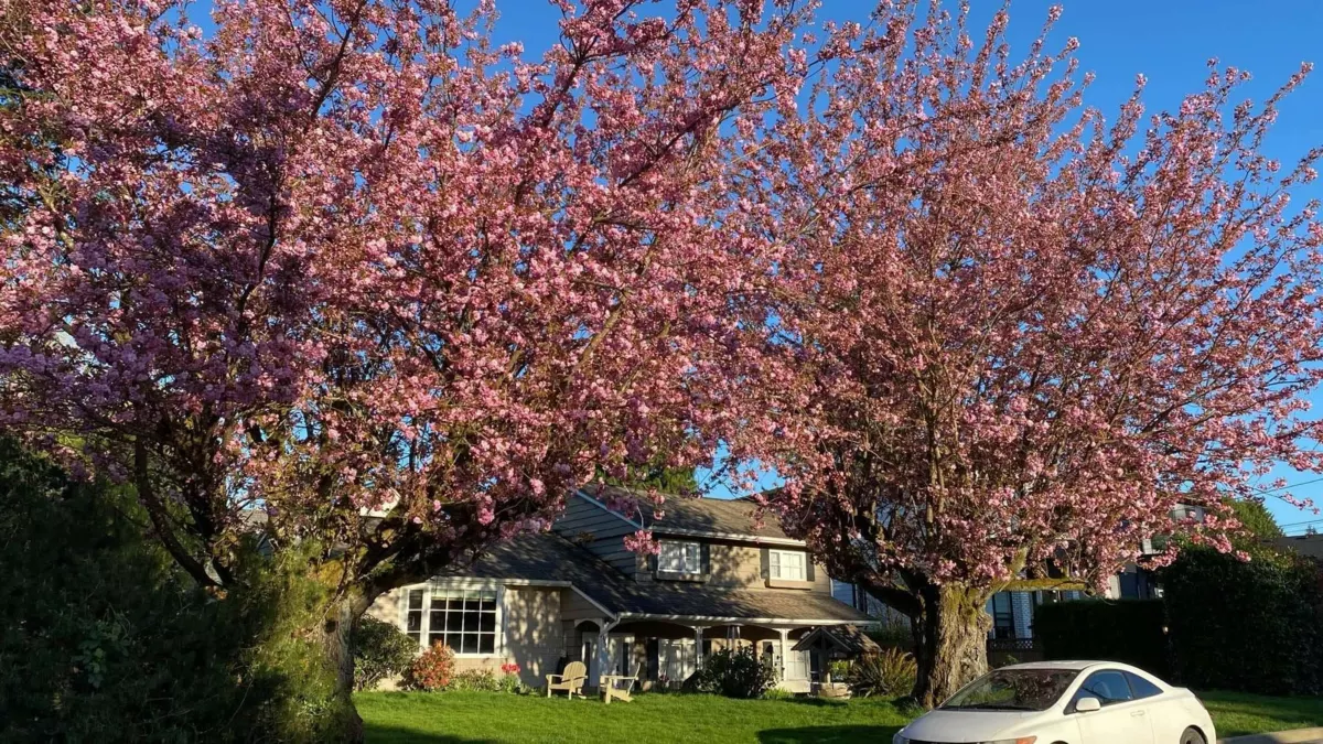 Street View Photo of 3380 Glasgow Street, Port Coquitlam, BC