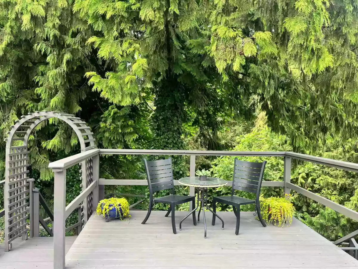 Kitchen Photo of 11285 133a Street, Surrey, BC