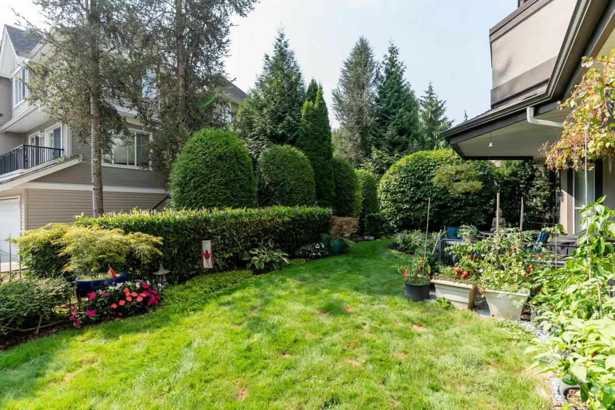 Backyard Photo of 111 12464 191b Street, Pitt Meadows, BC