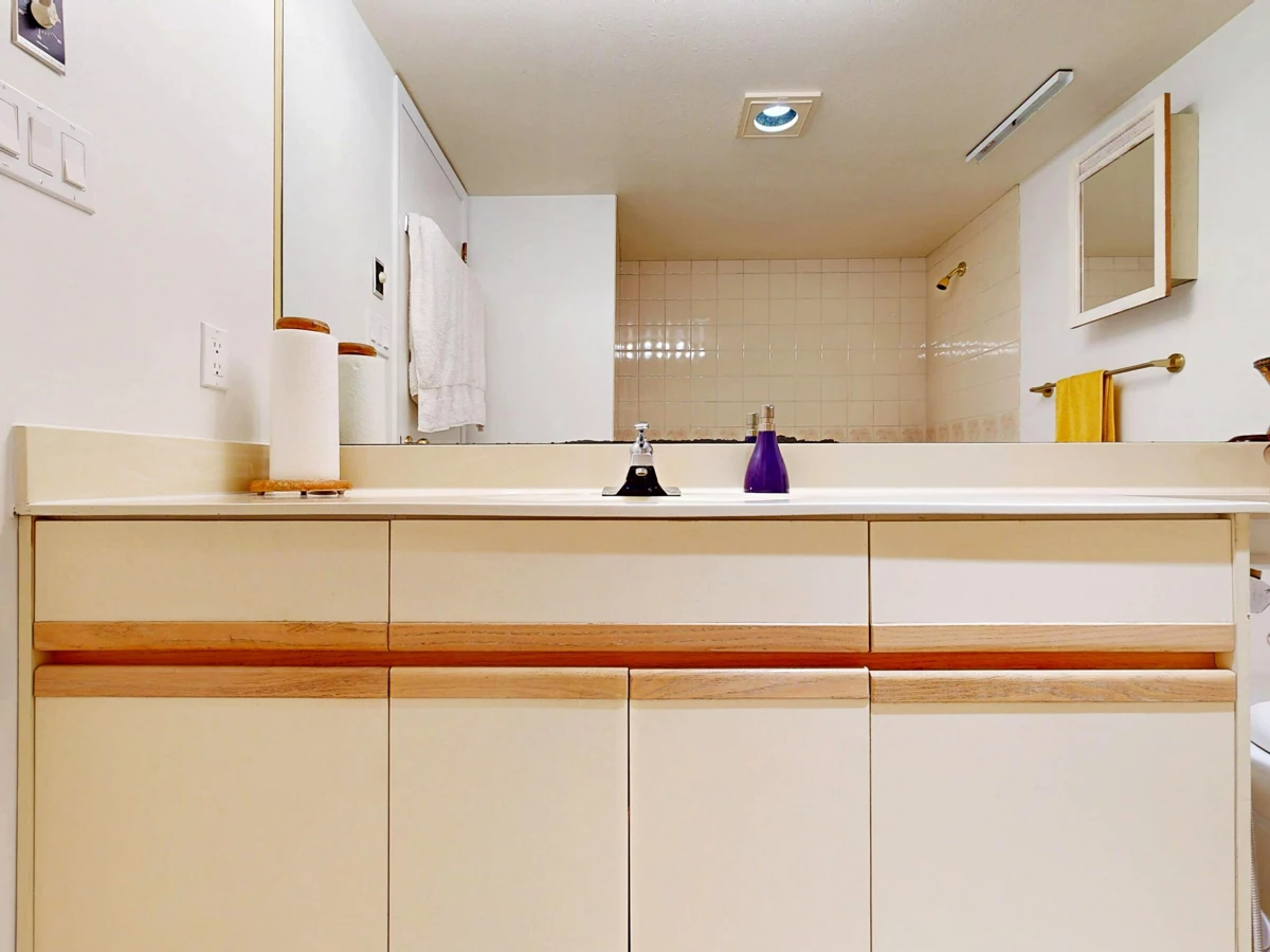 Basement Recreation Room Photo of 1005 995 Roche Point Drive, North Vancouver, BC