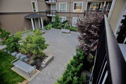 Kitchen Photo of 304 12040 222 Street, Maple Ridge, BC